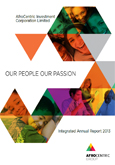 Integrated Report 2013